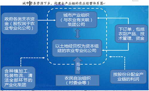 中國經(jīng)濟體制改革基金會楊慶育：重慶統(tǒng)籌城鄉(xiāng)綜改案例及深化改革方向